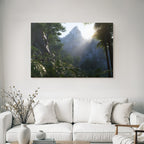 Tropen Und Dschungel Tropische Landschaft Mit Nebel Und Dichtem Vegetation