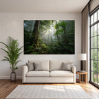 Tropen Und Dschungel Tropischer Regenwald Misty Szenen Tranquility