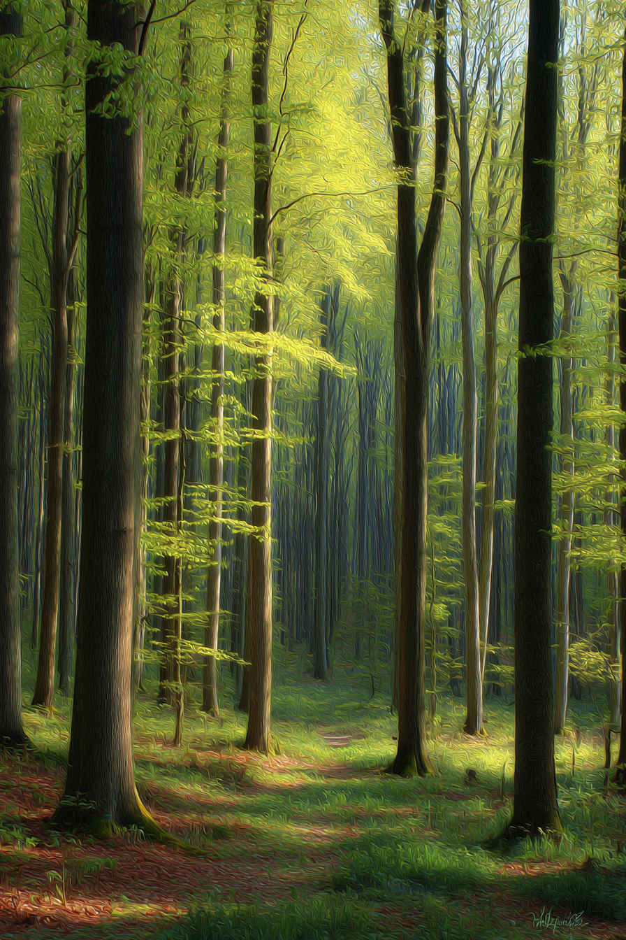 Wälder Und Wiesen Digital Malerei Von Einem Ruhevollen Wald Szene | Waelder und Wiesen | Landschaften