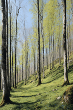 Wälder Und Wiesen Friedlicher Wald Mit Bäumen Und Blaün Blumen Frühling | Waelder und Wiesen | Landschaften