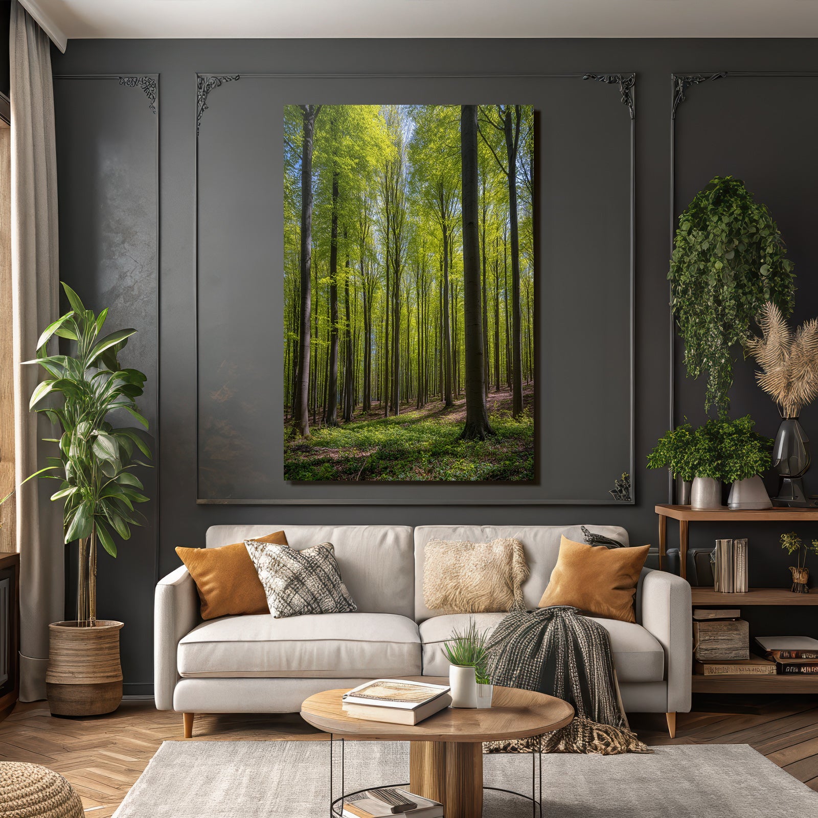 Wälder Und Wiesen Lush Forest Scene Sunlight Canopy Nature Beauty