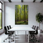 Wälder Und Wiesen Lush Forest Scene Sunlight Canopy Nature Beauty