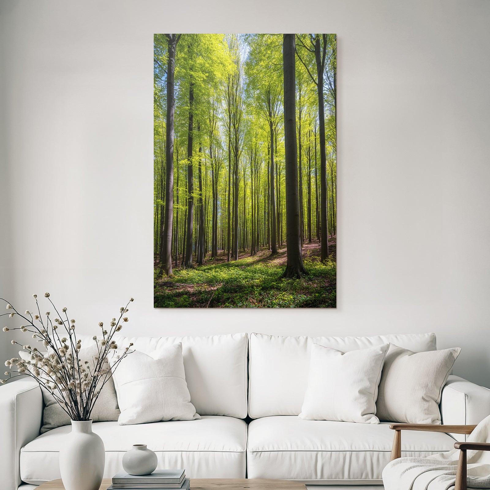 Wälder Und Wiesen Lush Forest Scene Sunlight Canopy Nature Beauty