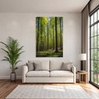 Wälder Und Wiesen Lush Forest Scene Sunlight Canopy Nature Beauty