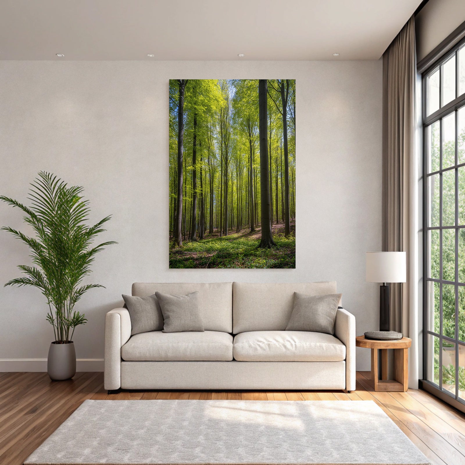 Wälder Und Wiesen Lush Forest Scene Sunlight Canopy Nature Beauty
