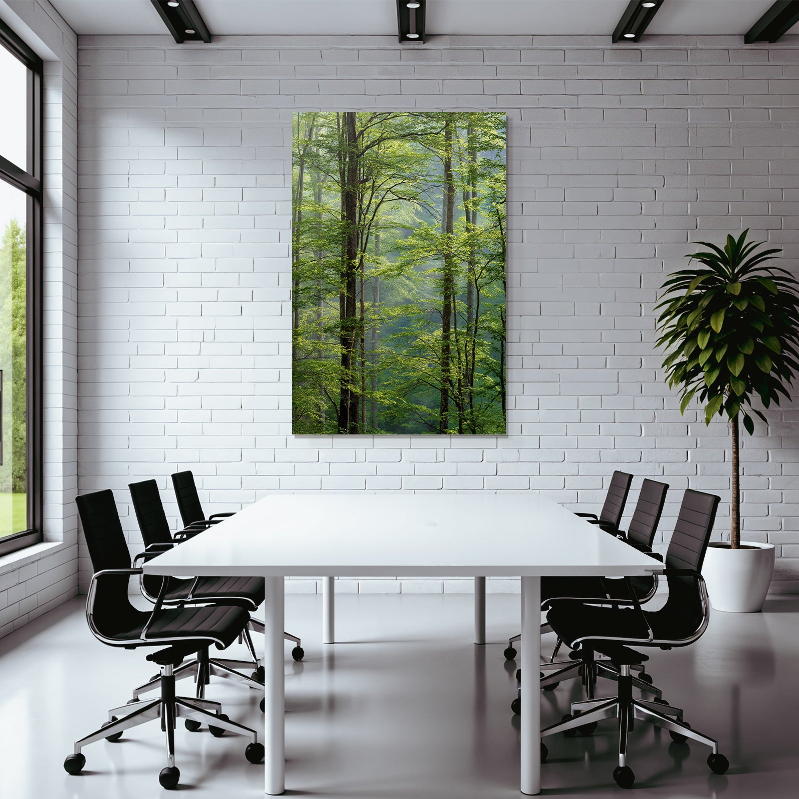 Wälder Und Wiesen Lush Forest Scene With Sunlight And Dense Foliage