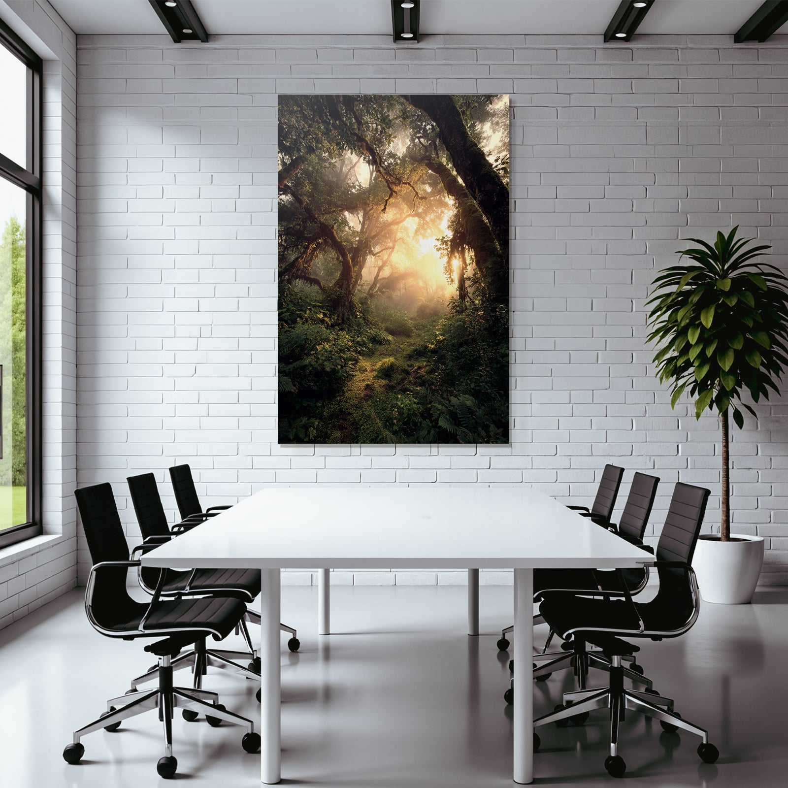 Forests and meadows. Peaceful forest landscape with sunshine and fog.