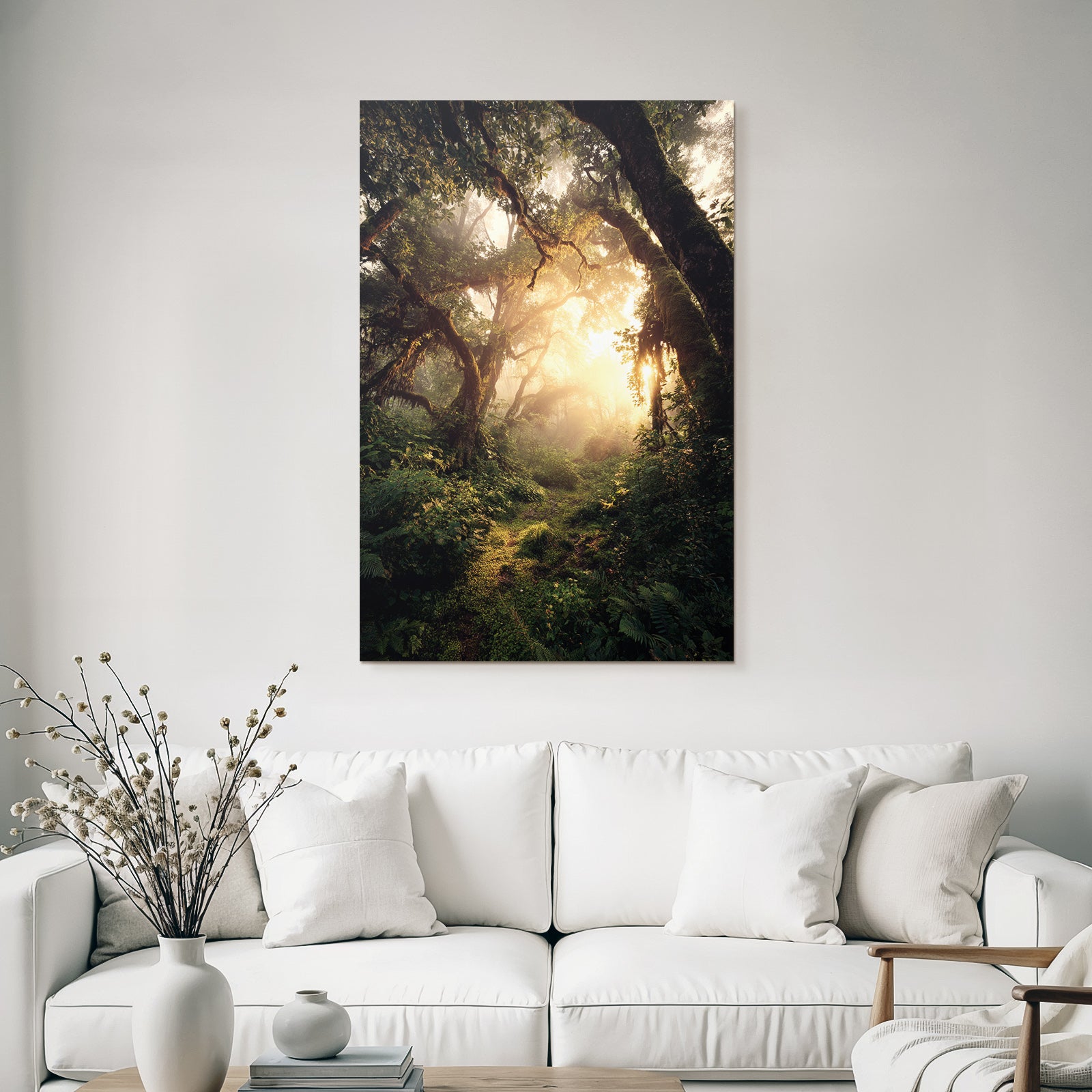 Forests and meadows. Peaceful forest landscape with sunshine and fog.
