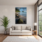 Forests and meadows Quiet beach with kingfishers and green surroundings