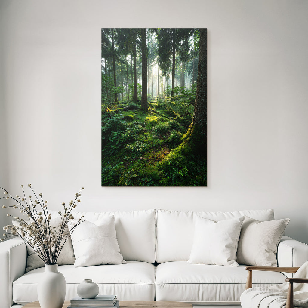 Wälder Und Wiesen Ruhiger Wald Mit Gefiltertem Licht Und Moos Bedecktem Boden