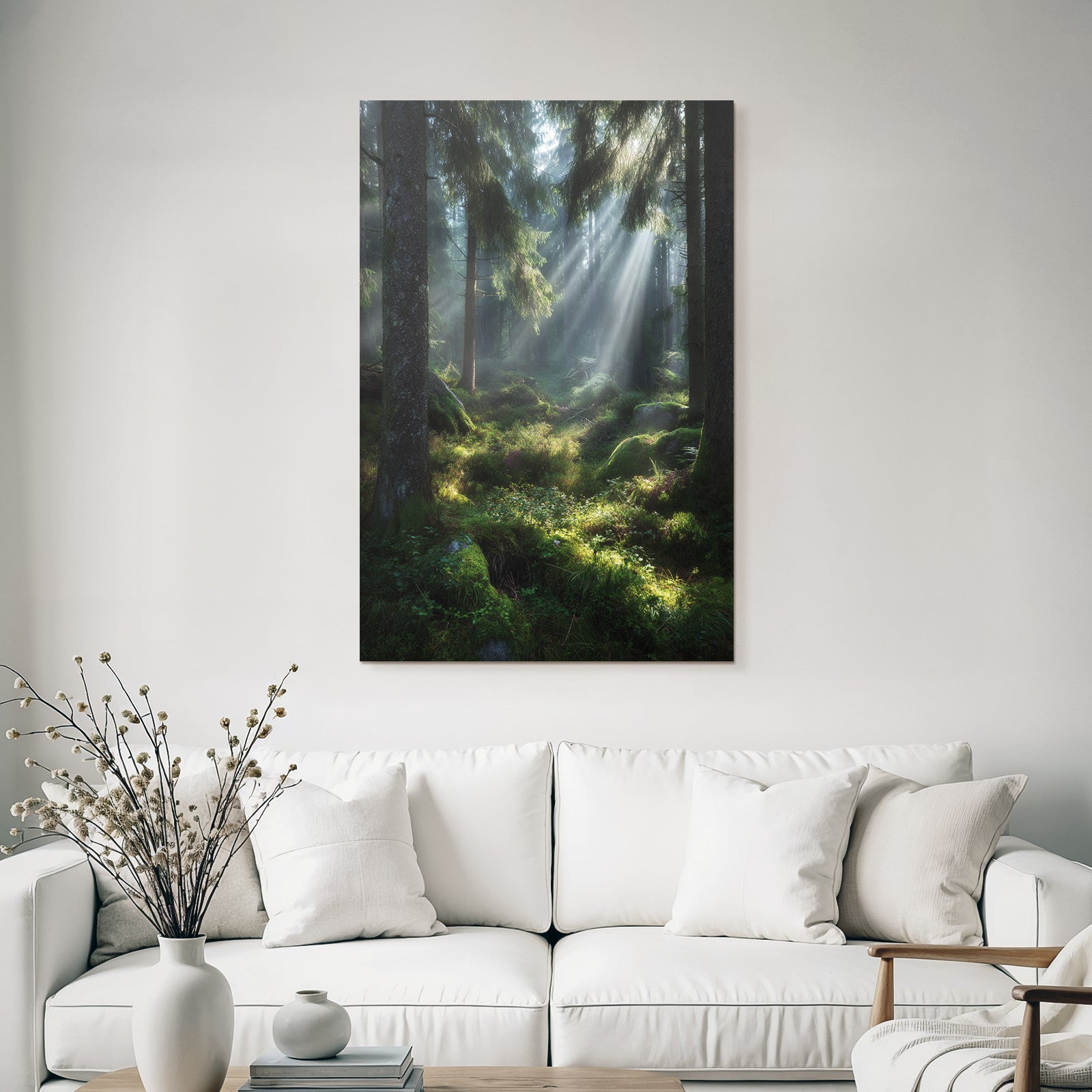 Forests and meadows. Tranquil forest scenes with soft light and green vegetation.