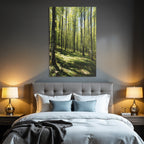Forests and meadows. Stylized illustration of the forest with tall trees and sunshine.