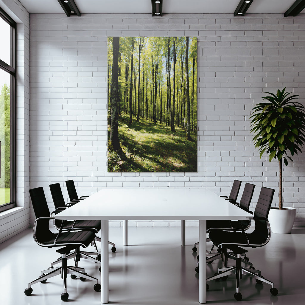 Forests and meadows. Stylized illustration of the forest with tall trees and sunshine.