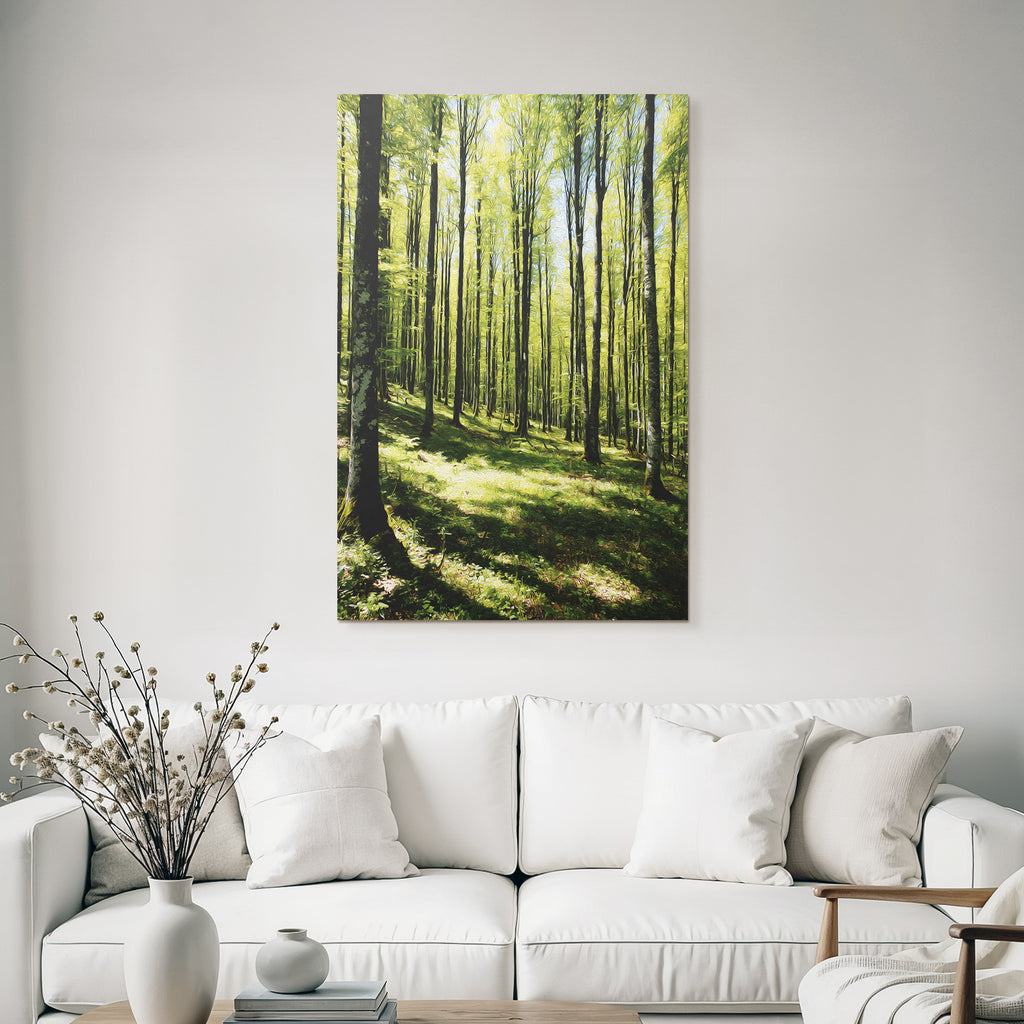 Forests and meadows. Stylized illustration of the forest with tall trees and sunshine.