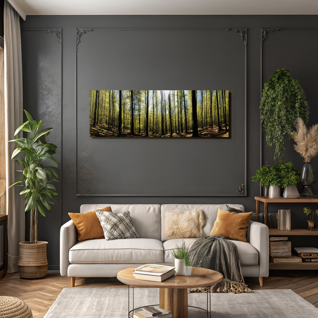 Forests and meadows Dense forest with green foliage and sunlight on leaves