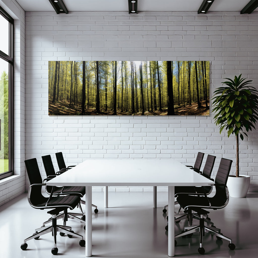 Forests and meadows Dense forest with green foliage and sunlight on leaves
