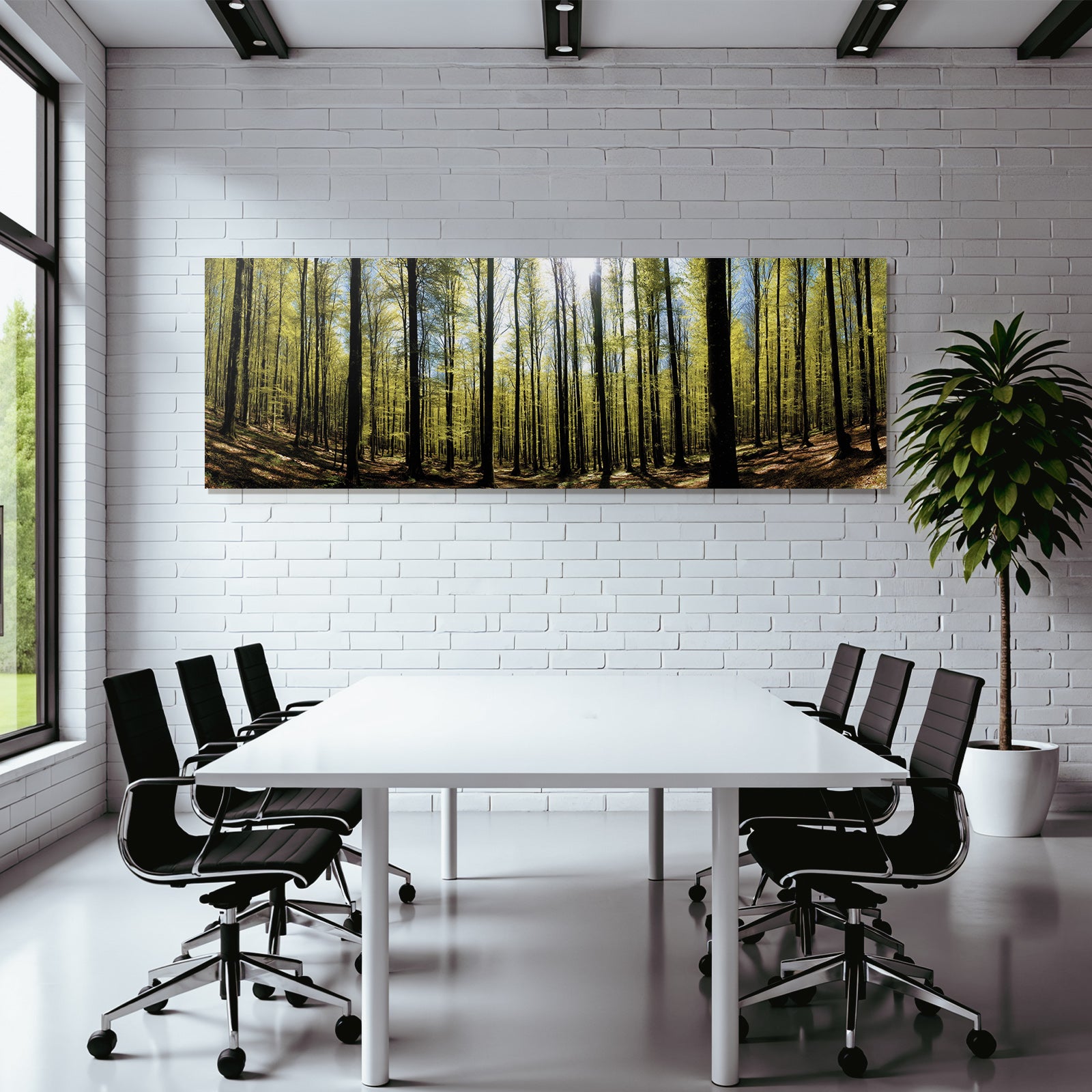 Forests and meadows Dense forest with green foliage and sunlight on leaves