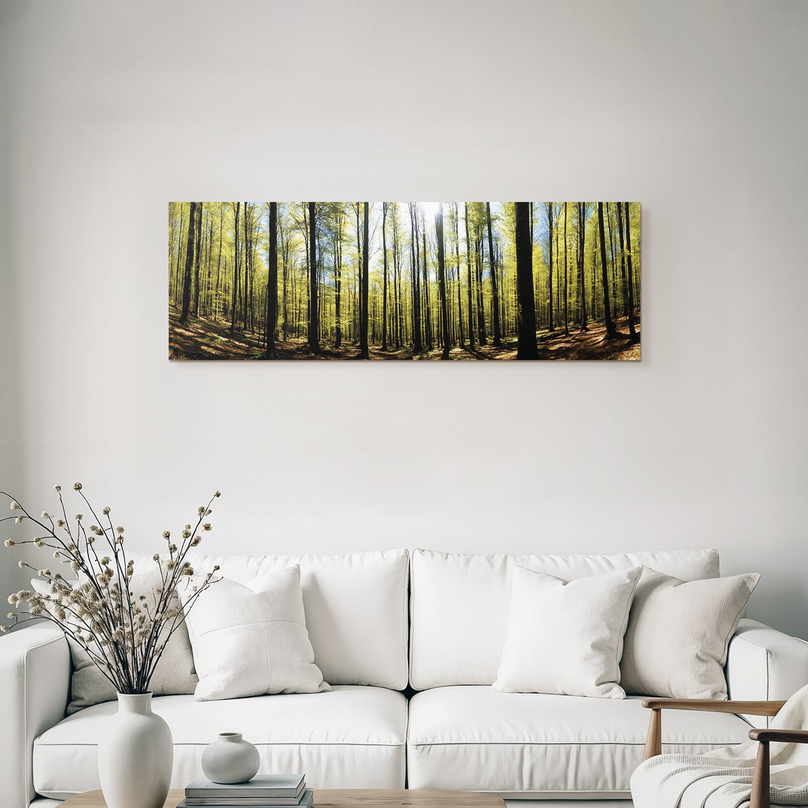Forests and meadows Dense forest with green foliage and sunlight on leaves