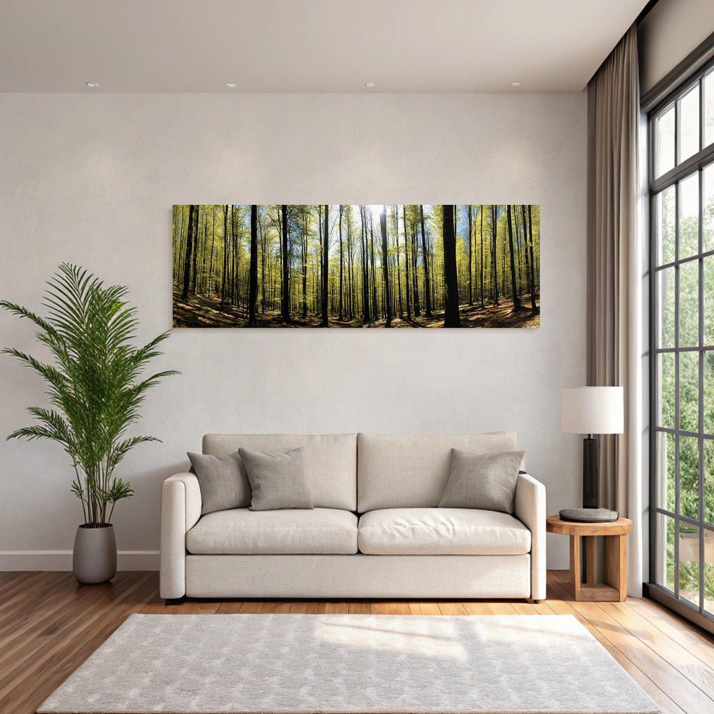 Forests and meadows Dense forest with green foliage and sunlight on leaves