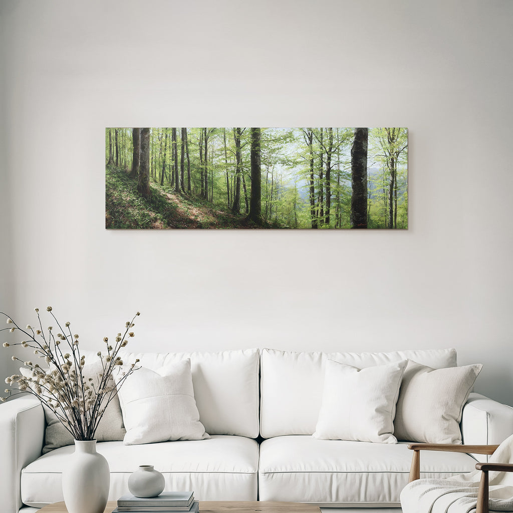 Forests and meadows Green forest path in spring
