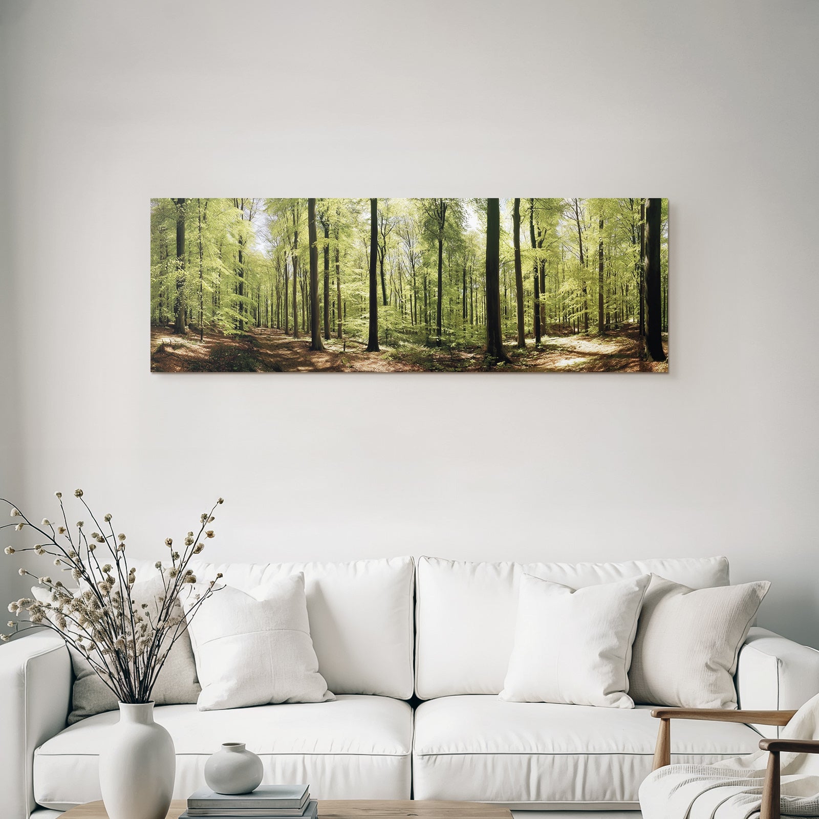 Forests and Meadows Lush Green Forest With Sunshine and Fallen Leaves