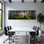 Forests and meadows Quiet forest with fog Green undergrowth