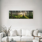 Forests and meadows Quiet forest with fog Green undergrowth