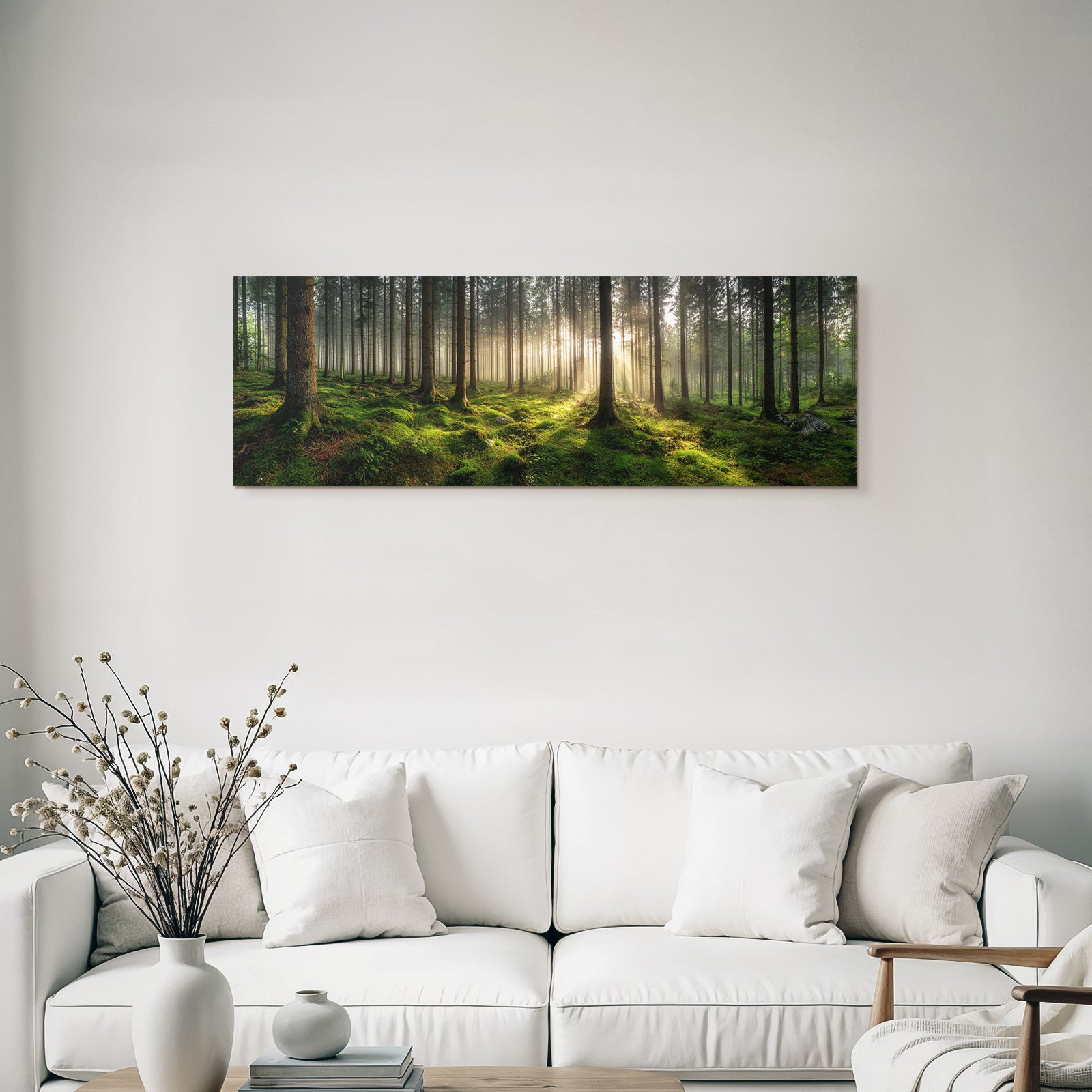Forests and meadows Quiet forest with fog Green undergrowth