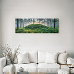 Forests and meadows Quiet forest landscape Hills with green vegetation Misty atmosphere