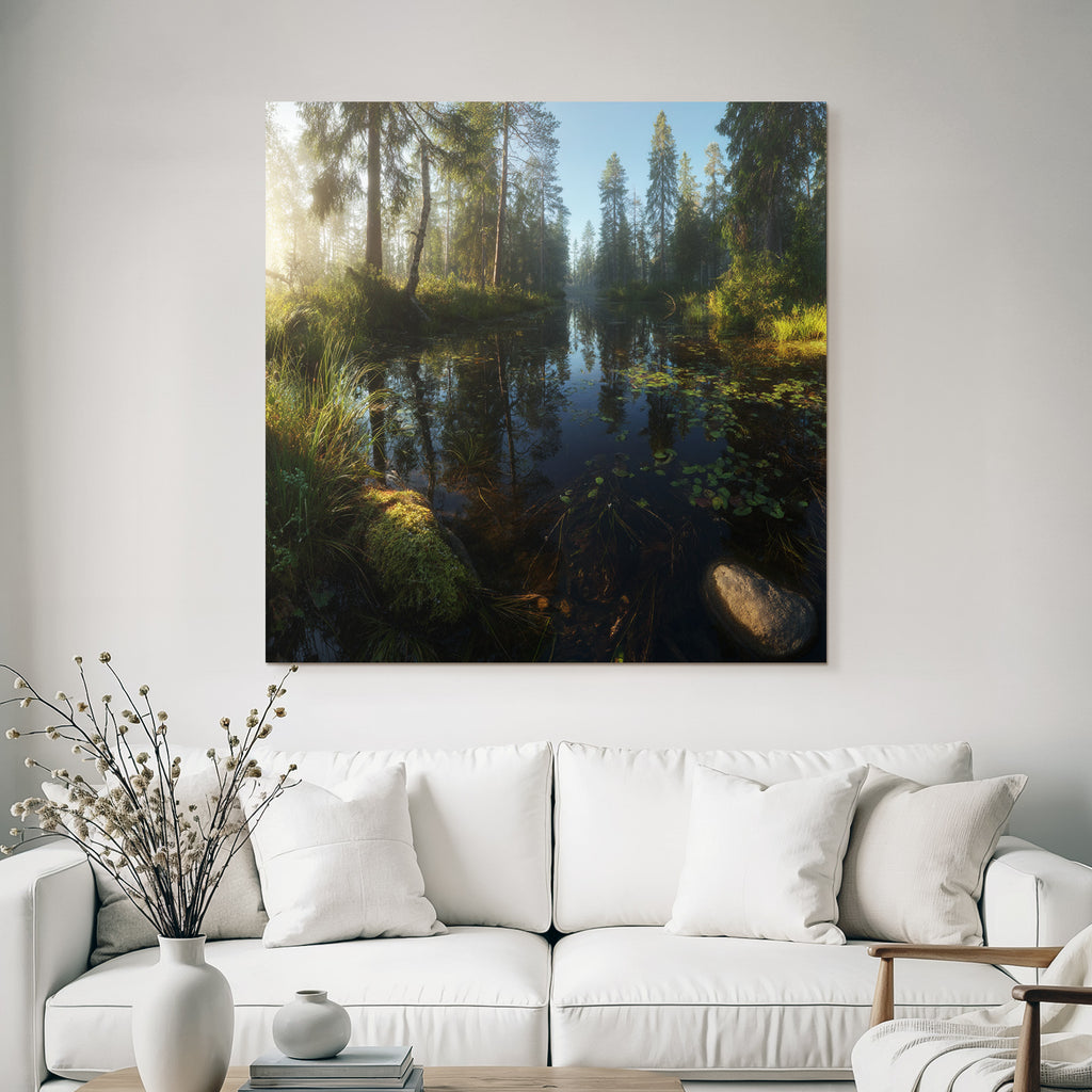 Forests and meadows, peaceful nature landscape, reflection on the water