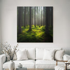 Forests and meadows Peaceful forest with fog and green moss