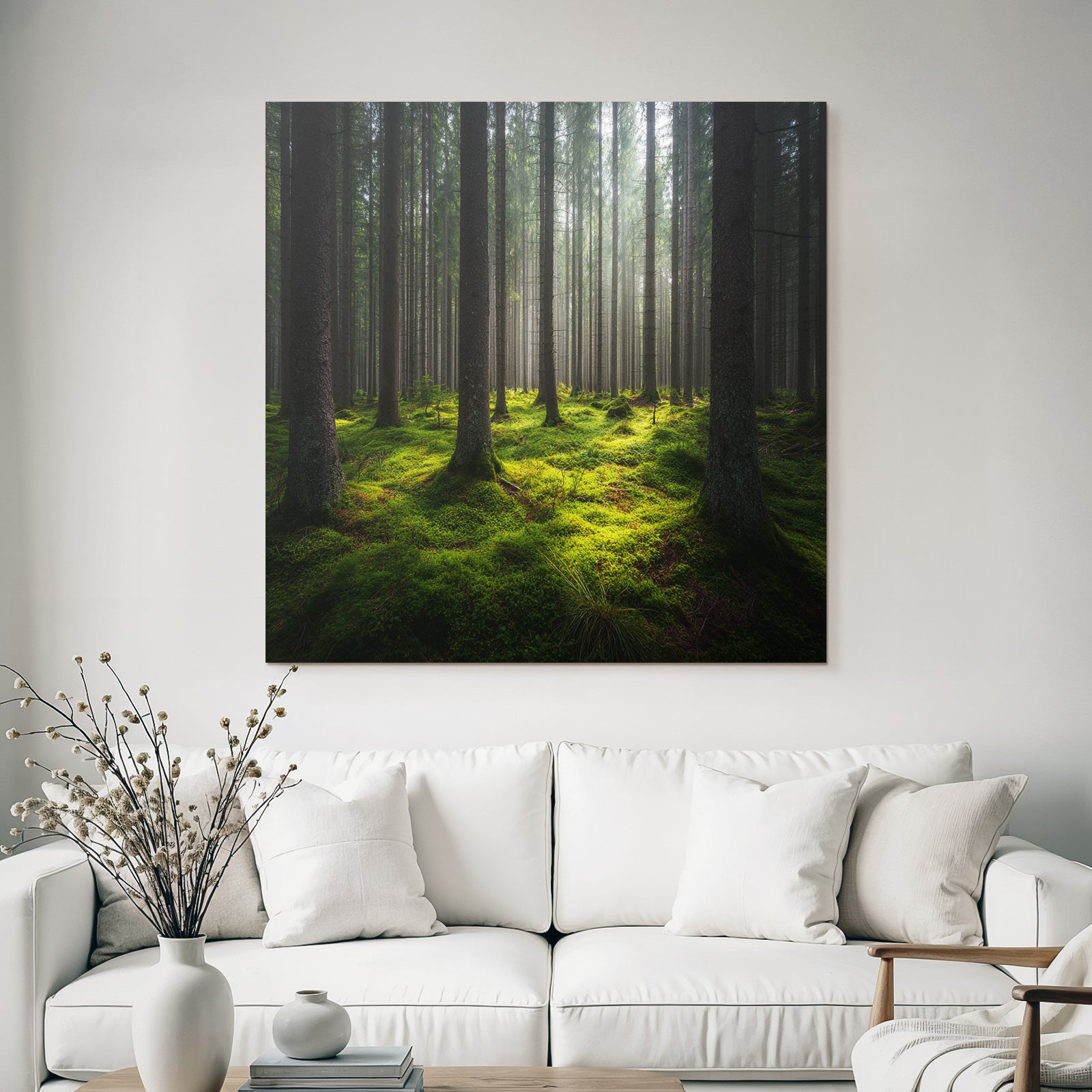 Forests and meadows Peaceful forest with fog and green moss
