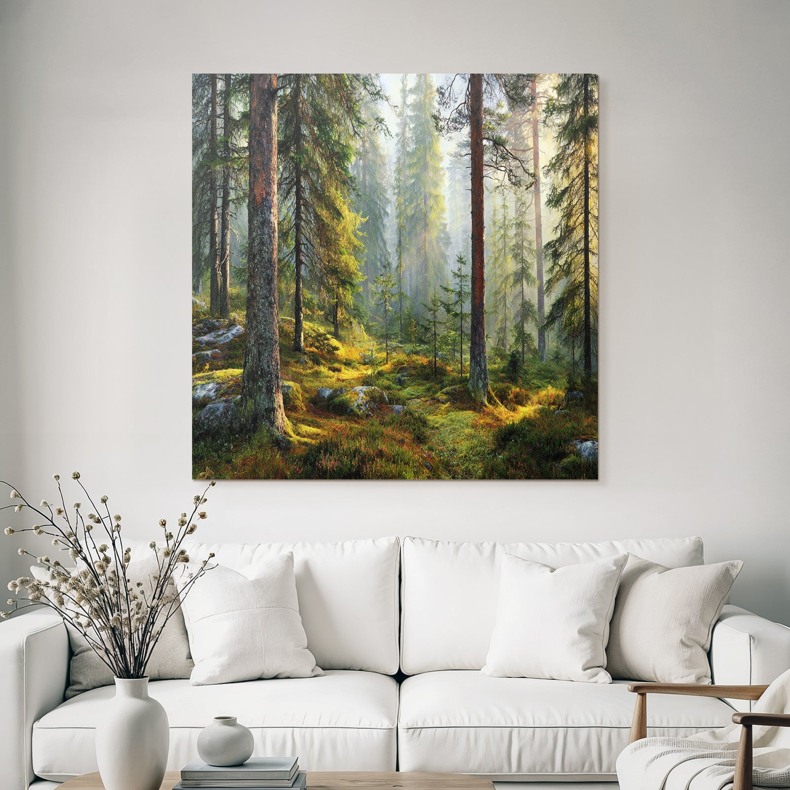Forests and meadows Peaceful forest with fir trees and soft light