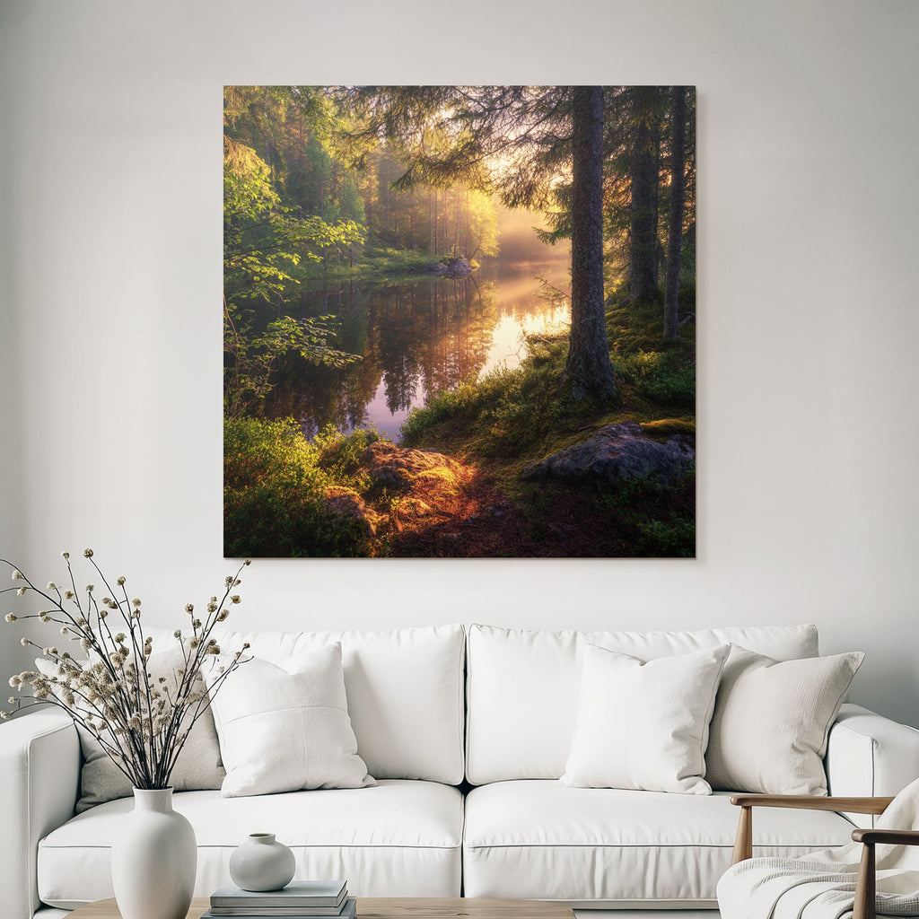 Forests and meadows Idyllic nature scene with forest and calm water