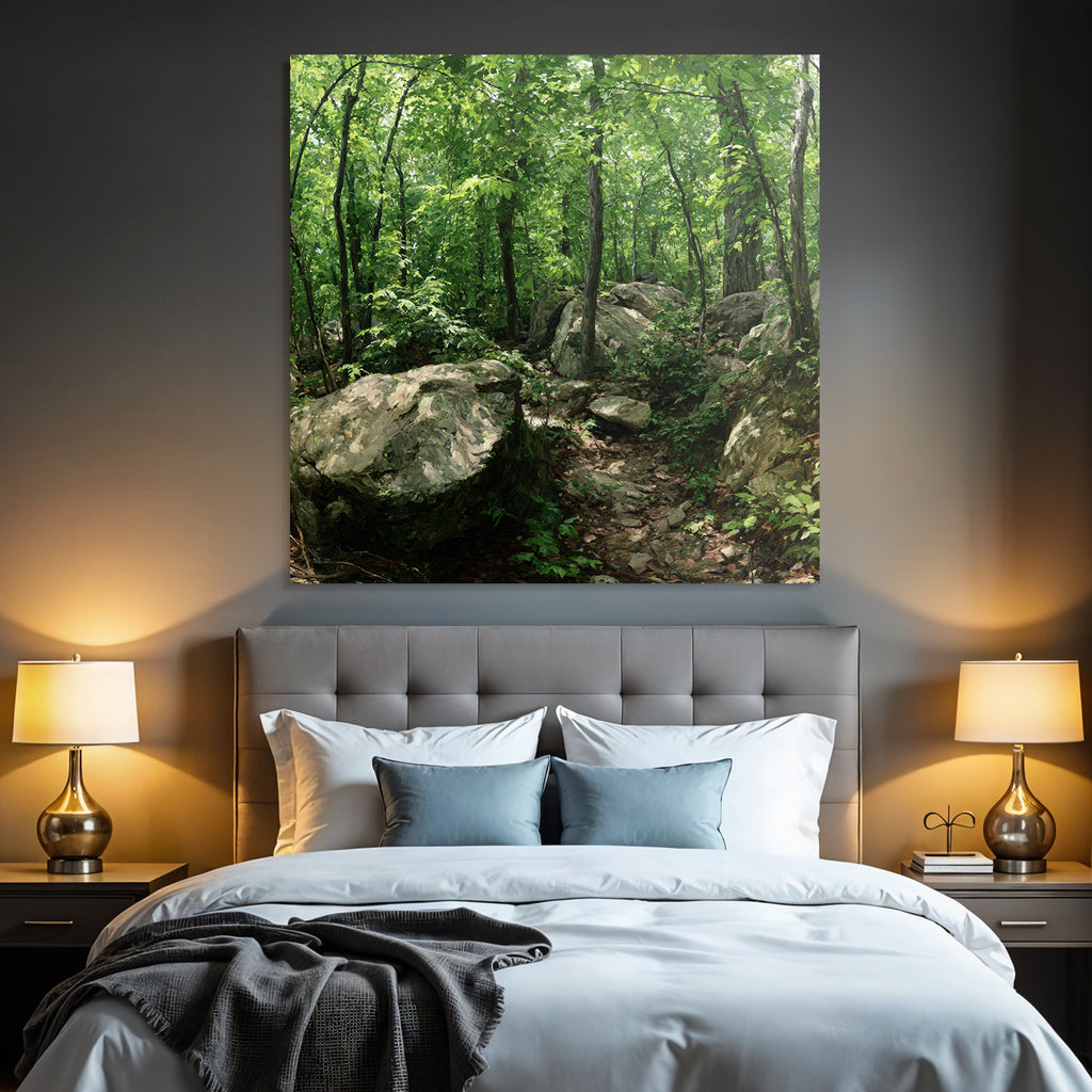 Forests and meadows Lush green forest with path and rocks