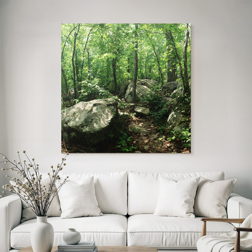 Forests and meadows Lush green forest with path and rocks