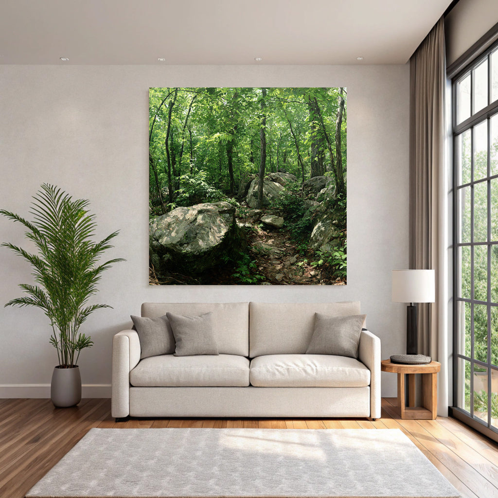 Forests and meadows Lush green forest with path and rocks