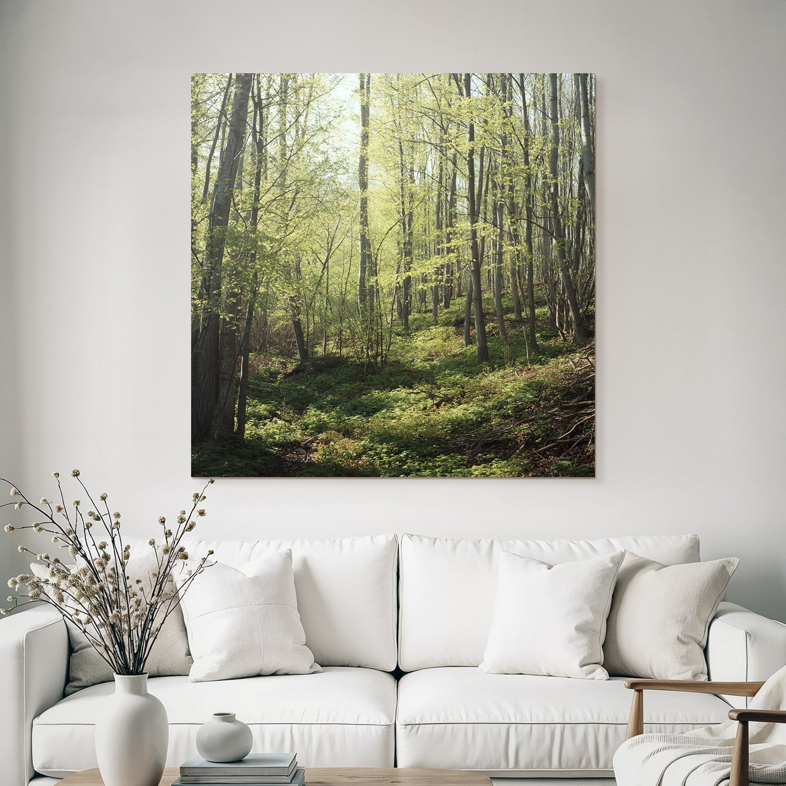 Forests and meadows Peace in the forest with sunshine and green vegetation