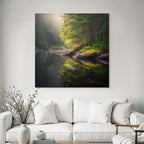 Forests and meadows, tranquil nature landscape with water and fog
