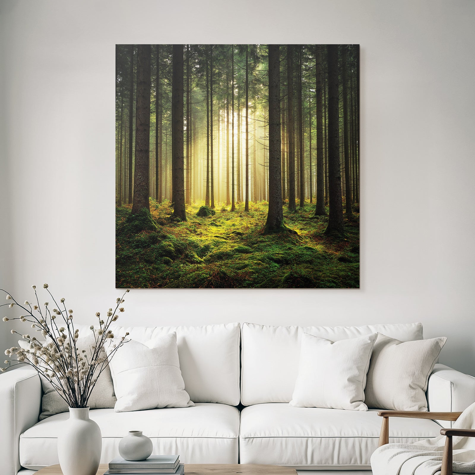 Forests and meadows. Tranquil forest scenes with trees and moss.