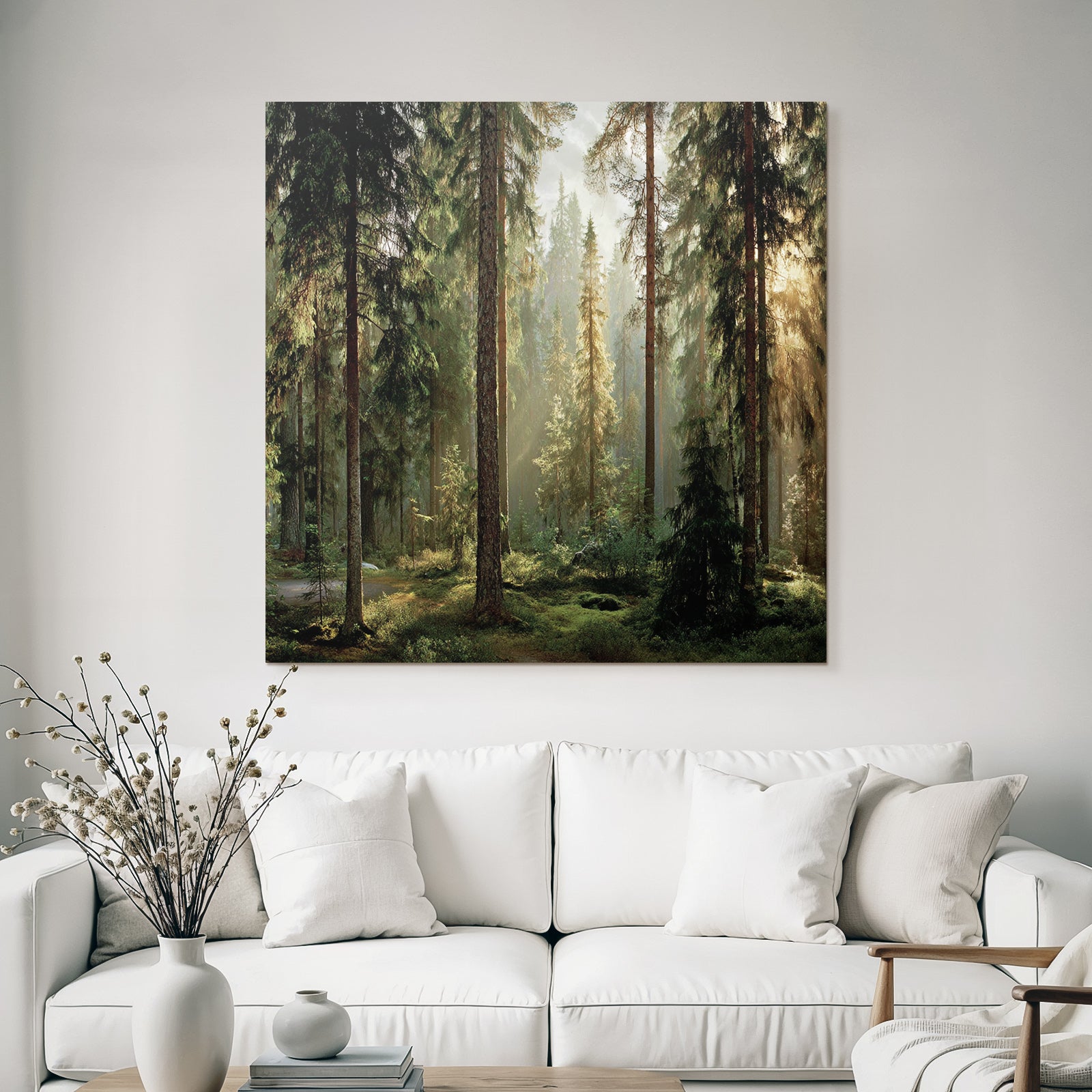 Forests and meadows, quiet forest landscape, early morning or late afternoon