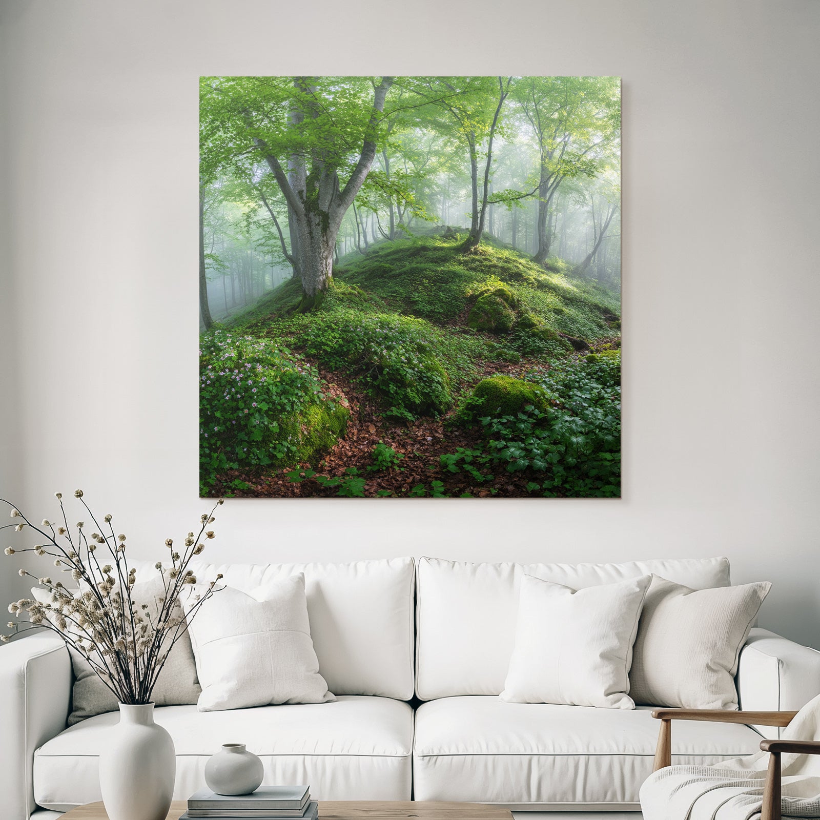 Forests and meadows Quiet forest path with nature and fog