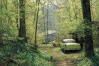 Wälder Und Wiesen Ruhige Naturszene Mit Vintage Autos Und Grünen Bäumen | Waelder und Wiesen | Landschaften