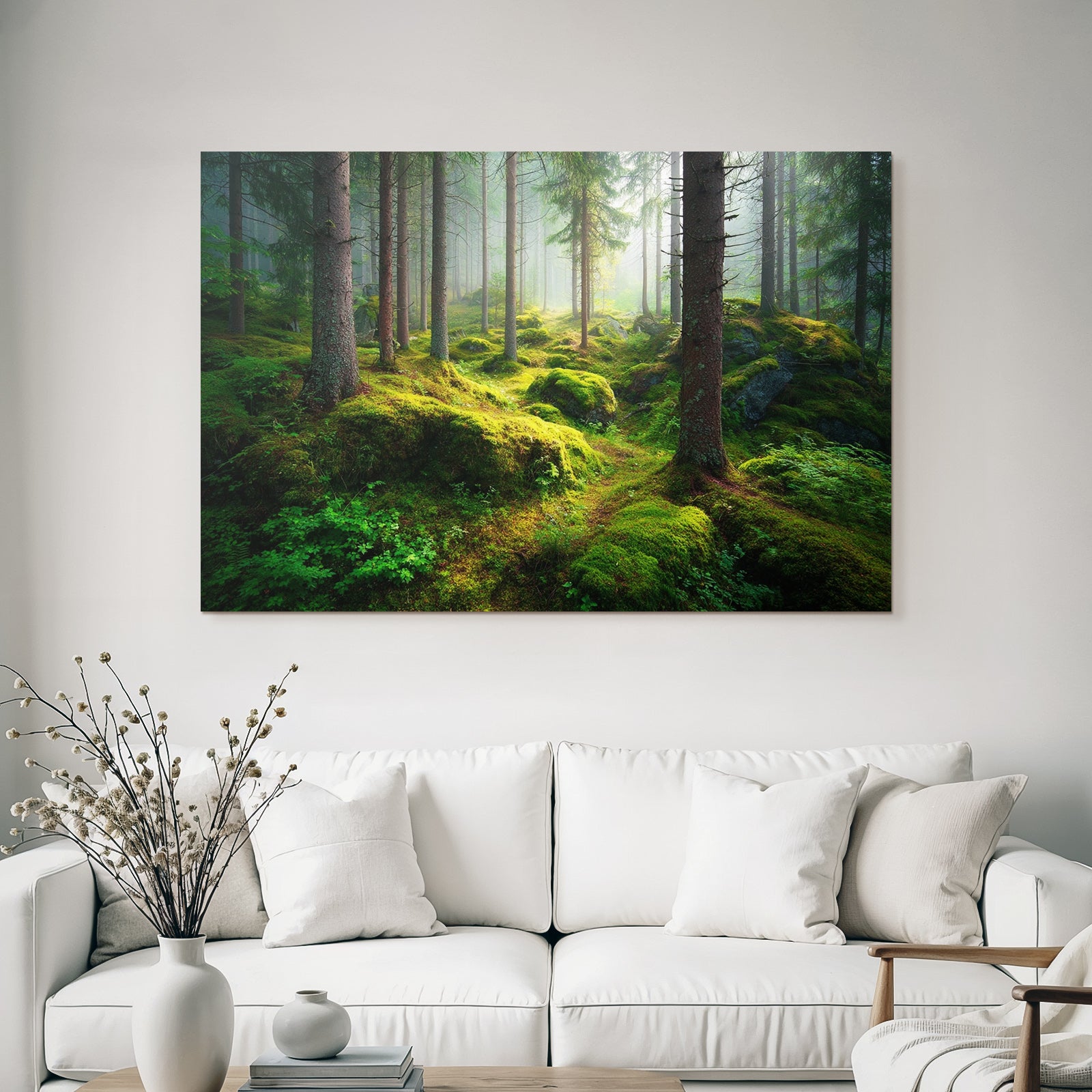 Wälder Und Wiesen Beruhigender Wald Mit Licht Schimming Moos Und Farnen
