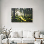 Wälder Und Wiesen Friedlicher Wald Mit Sonnenlicht Und Grünem Moos