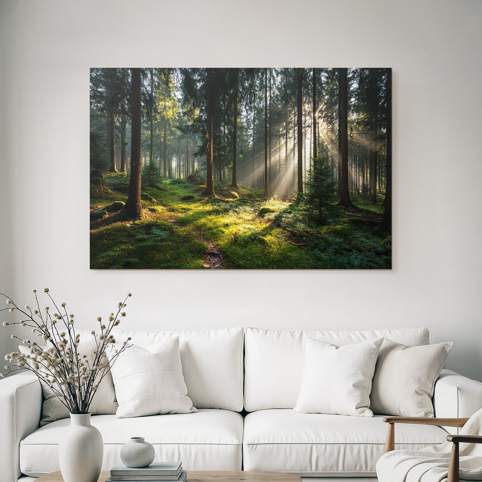 Wälder Und Wiesen Friedlicher Wald Mit Sonnenstrahlen Und Moos Bedecktem Boden