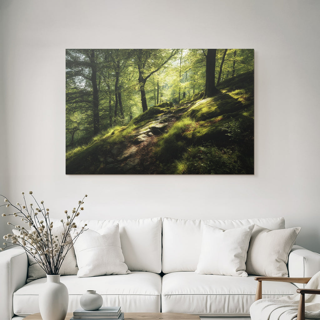 Forests and meadows Peaceful forest path with light-filled trees