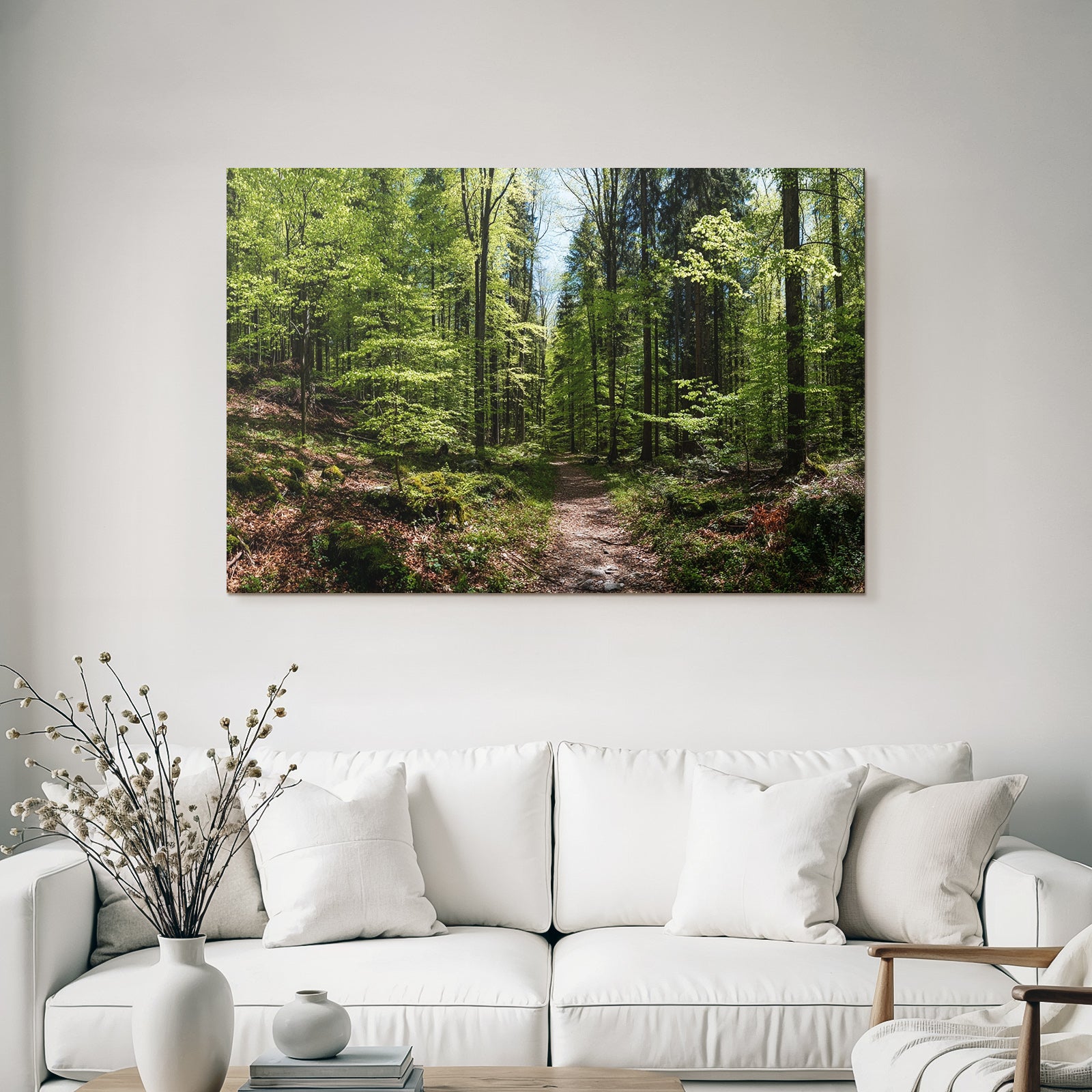 Forests and meadows Peaceful forest path with sunshine