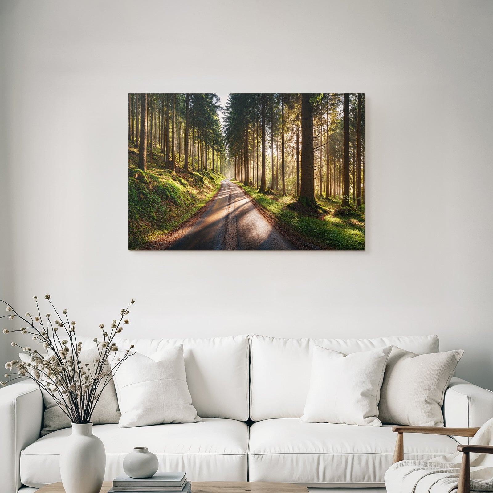 Forests and meadows Peaceful forest path with sunshine and moss-covered ground