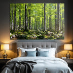 Forests and meadows Lush forest scene with trees, greenery and moss
